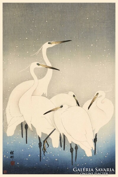 Ohara koson: five white herons, kacho-e (bird-flower) Japanese woodcut, excellent quality reprint