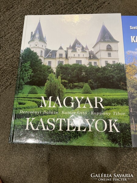 Miscellaneous books castles