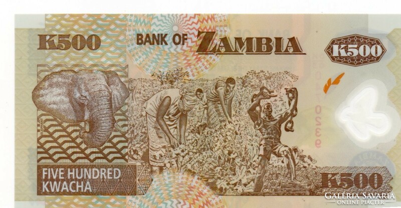 500    Kwacha    2008      Zambia