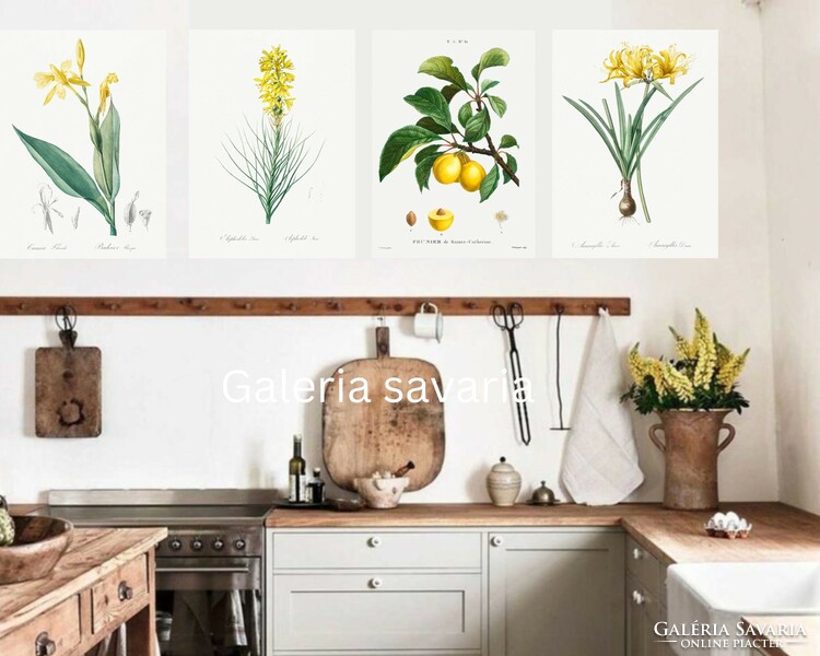 4 darab gyönyörű botanikai virágos nyomat reprodukciója, poszter 30*40 cm, 4 db sárga virágokkal