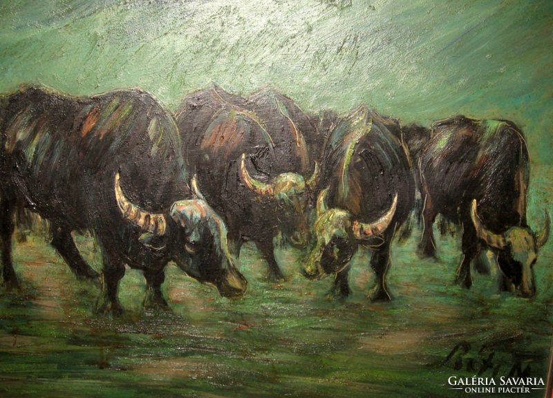 Special offer ! Guaranteed original Matyás Réti / 1922-2002/ picture: buffaloes