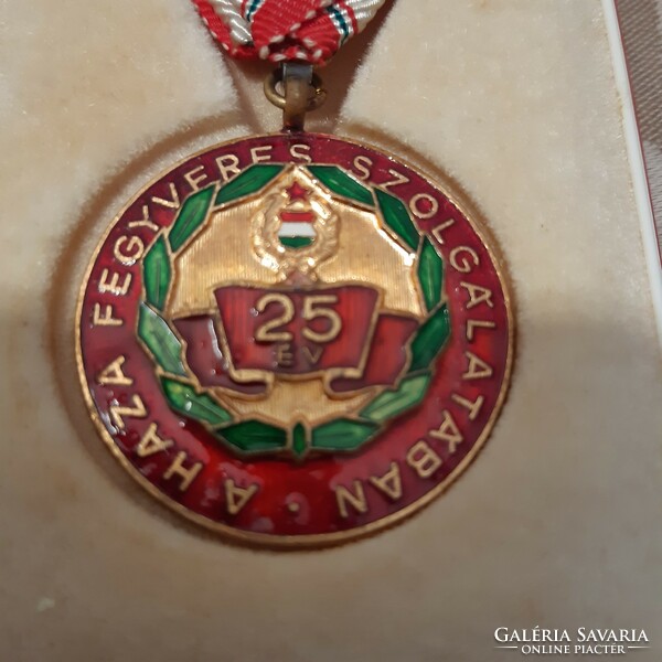 Medal in the Armed Service of the Homeland, 25 years old, in perfect condition with ribbon in box