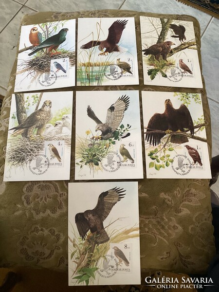 Bélyeg gyűjtők !1983 Ragadozó madarak sorozat kepeslapon és belyeggel és belyegzessel