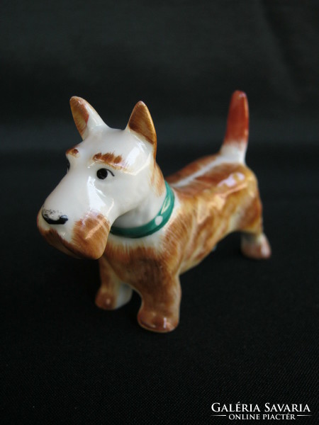 Aquincumi porcelán kutya