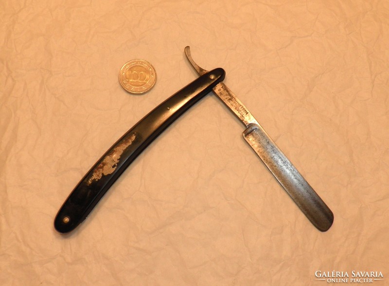 Cougar razor. From collection.