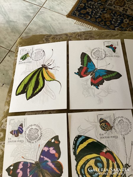 Attention stamp collectors! Tropical butterflies on postcard with stamp and stamp