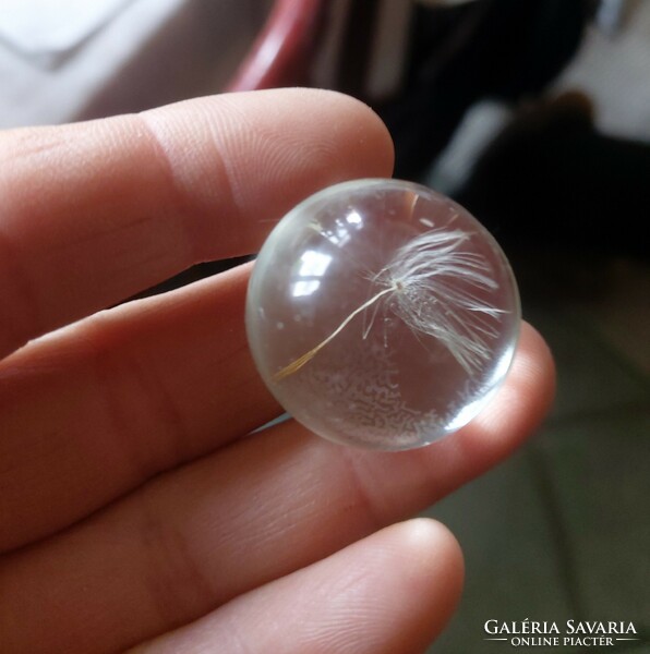 Real dandelion in a glass ball, glass ball with a diameter of 2.5 cm