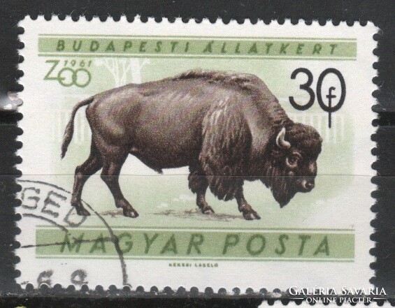 Animals 0363 Hungarian