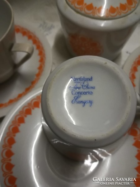 Alföldi porcelain-northland fine china concerto hungary coffee sets
