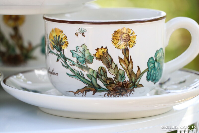 Villeroy botanica cup + saucer