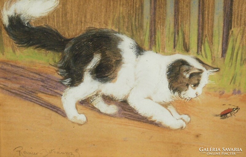 Rainer-Istvánffy Gabriella (1875-1964) : Bogarászó cica