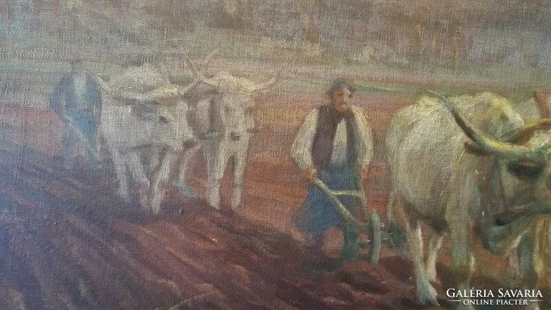 Károly Cserna, plowing - 60x80 oil, canvas