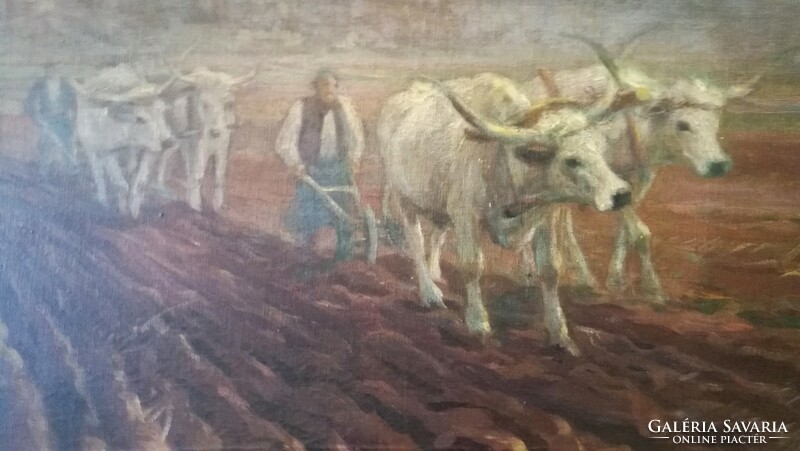 Károly Cserna, plowing - 60x80 oil, canvas