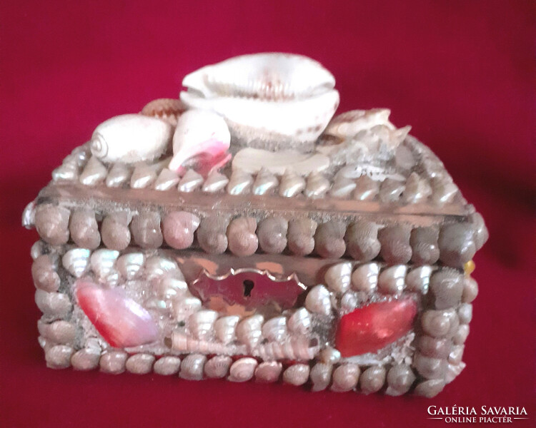 Shell-shaped, snailed wooden box, gift box. 16 X 11 cm