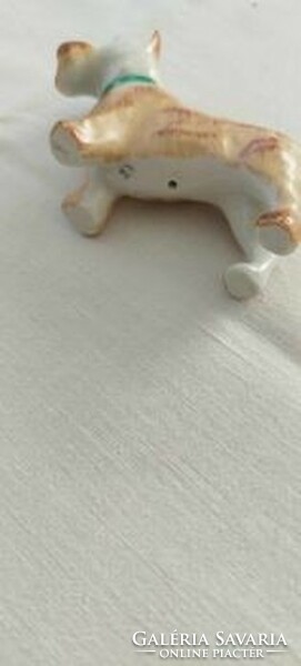 Aquincumi terrier porcelain dog