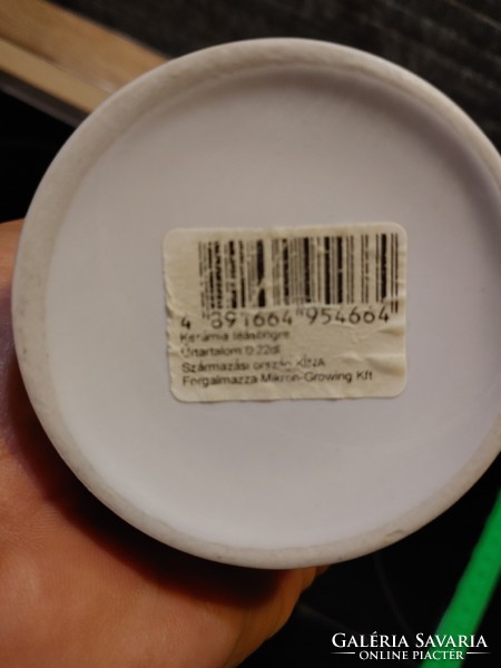 Kiwi pear date tea filter mug
