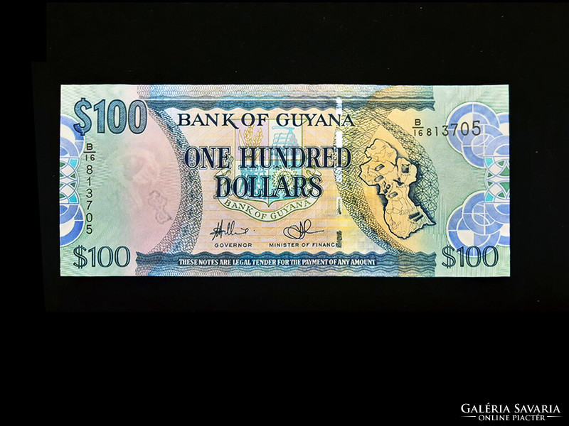 Unc - $100 - Guyana - 2006 (ornithological watermark)