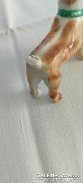 Aquincumi terrier porcelain dog