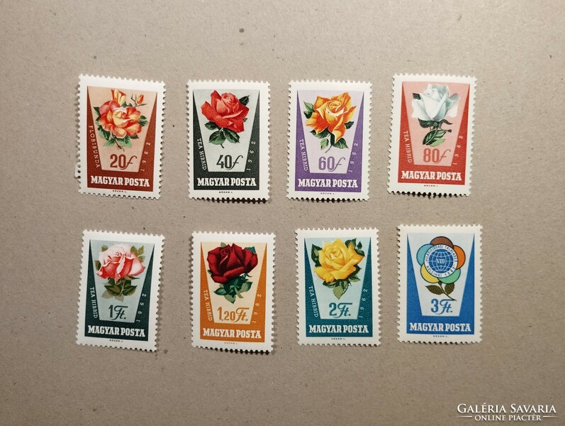 Hungary roses 1962