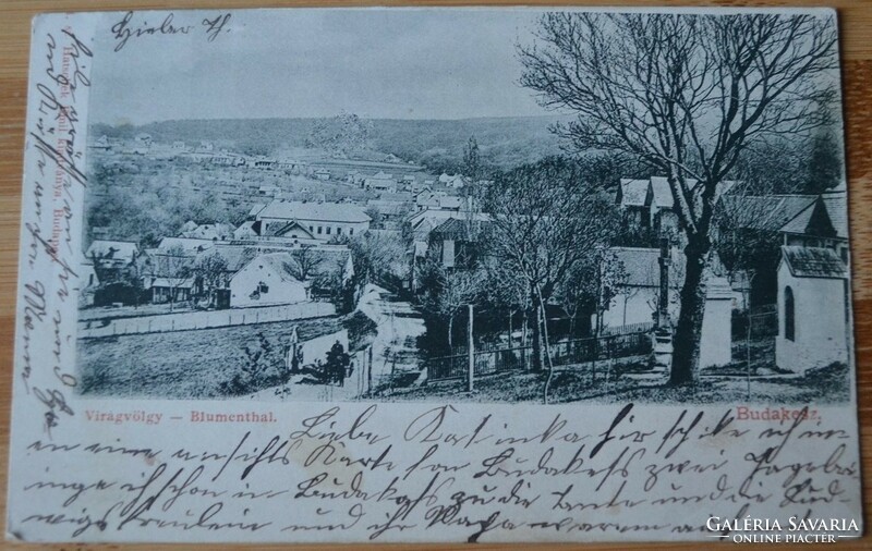 1899.- Budakesz - képeslap - Virágvölgy - Budakeszi