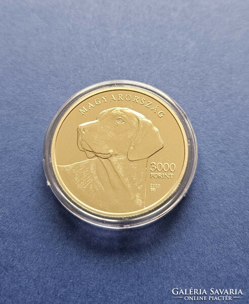 2023. Annual Transylvanian Hound non-ferrous metal commemorative coin pp (Hungarian dog breeds series v. Element)