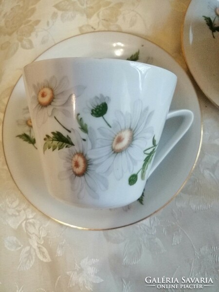 Alföldi marguerite cup tea cup with plate