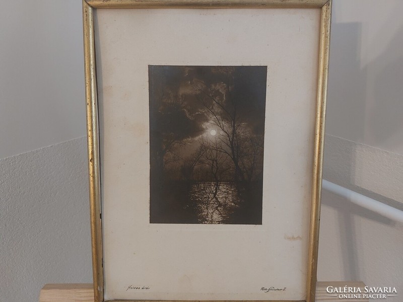 (K) photo by Zoltán Kesztner Jr. (mako?) Moonlit floodplain with frame 33x44 cm