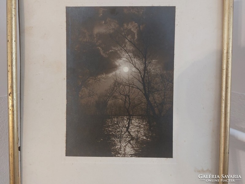 (K) photo by Zoltán Kesztner Jr. (mako?) Moonlit floodplain with frame 33x44 cm