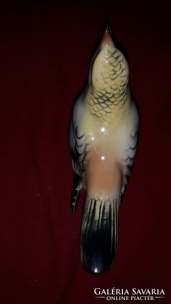Antique rare German unterweissbach porcelain figurine of a bird sitting on a tree branch 14 cm according to the pictures
