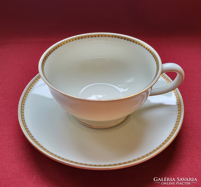 Suisse langenthal Swiss porcelain coffee tea set cup saucer plate
