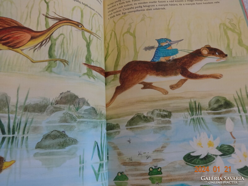 Albert Wass: Cupafej, a kingfisher - storybook with paintings by the poet Gábor
