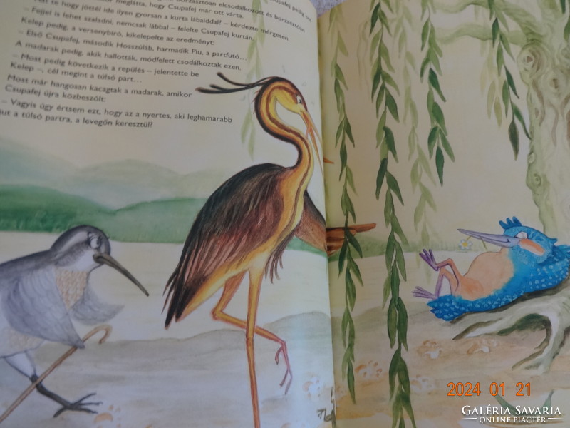 Albert Wass: Cupafej, a kingfisher - storybook with paintings by the poet Gábor