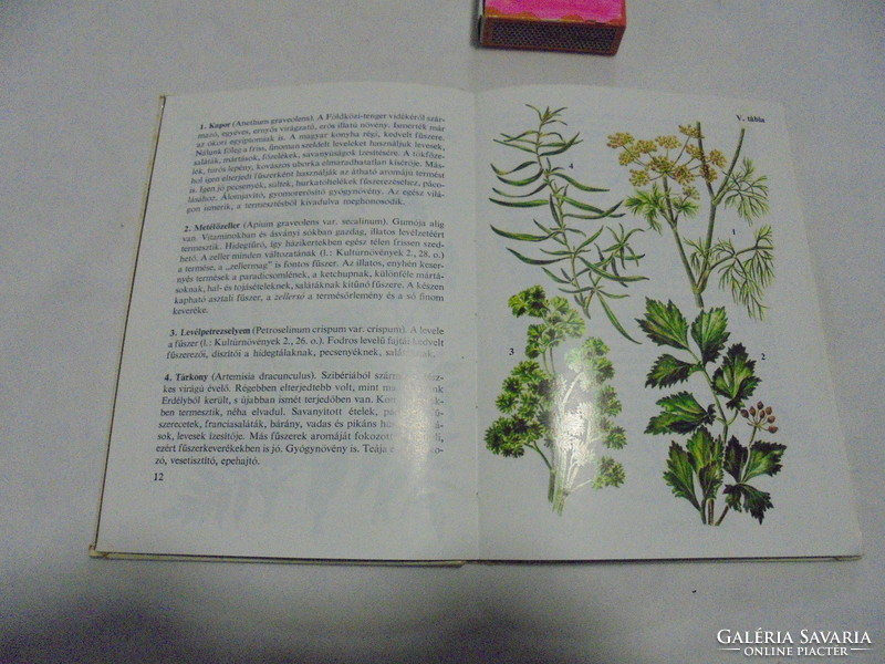 Diver's Pocket Books: Herbs 1980