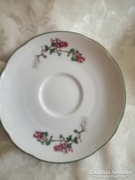 Seltman gyűjtői tányér  gyönyörű 13 cm