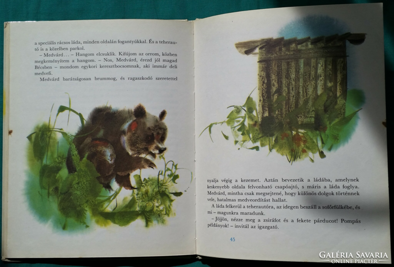 Rudo Moric: Medvekeresztelő > Gyermek- és ifjúsági irodalom > Állatmesék