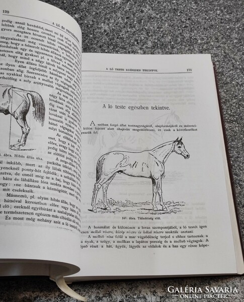 The horse and its breeding (reprint) béla kovács monostori károly győr, 1998