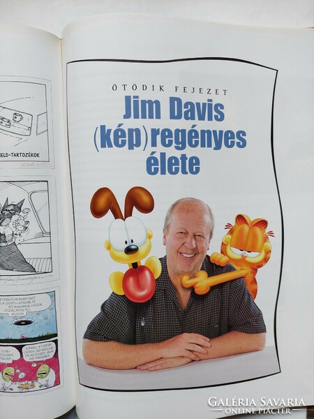 Jim Davis: Garfield 25 éve - Jöhet a torta! nagy méretű könyv, album (Akár ingyenes szállítással)