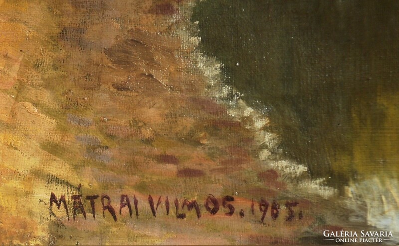 Mátrai Vilmos (1877-) : Szolnoki táj
