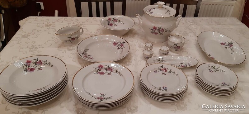 Retro porcelain tableware