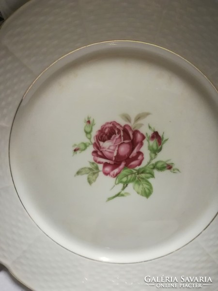 Cseh /Thun/ porcelán mély tányér, rózsás dekorral