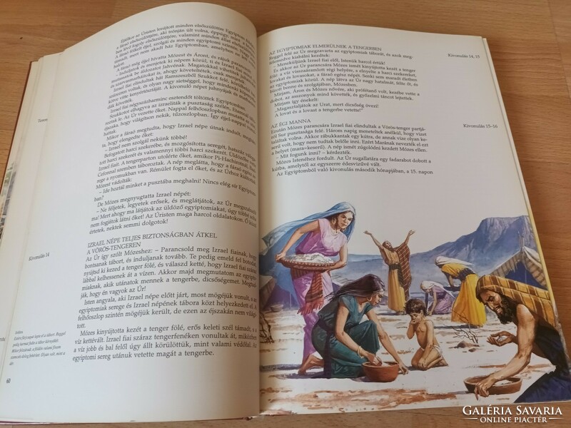 Capable Bible stories from the Old and New Testaments - rare