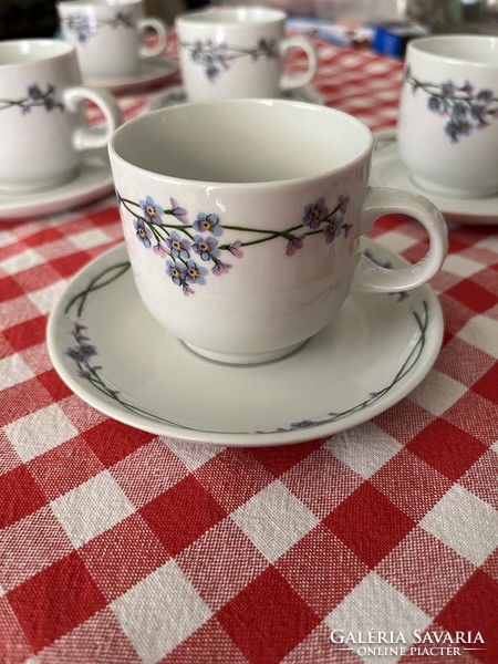 Alföldi porcelain coffee set with forget-me-not pattern