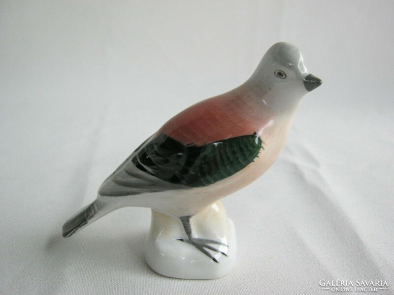 Aquincum porcelain bird pigeon