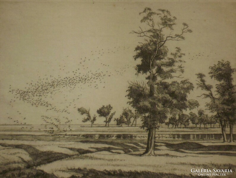 István Zádor (1882-1963): wild ducks on a bugacon