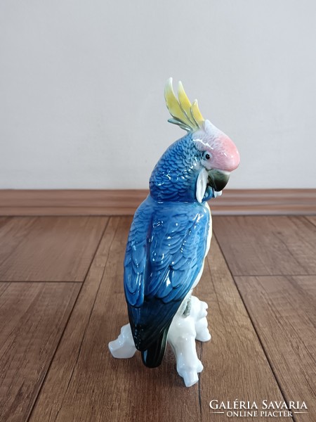 Antique porcelain cockatoo