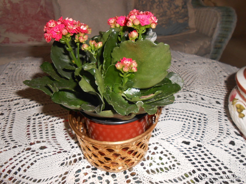 Copper flower basket.
