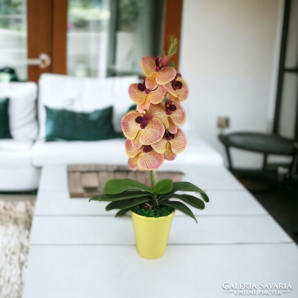 Medium-sized lifelike peach- and cream-colored tabby orchid or113ba