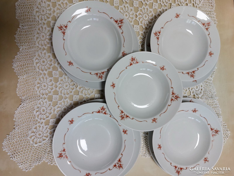 Lowland rosehip pattern porcelain 3 deep, 8 flat plates