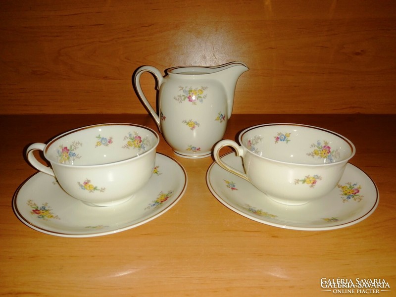 Web reichenbach porcelain coffee cup in pairs with spout (4 / k)