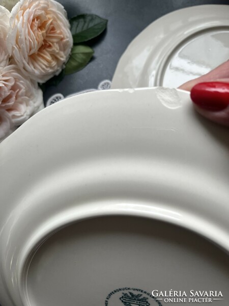 Villeroy & Boch burgenland porcelain plate, flat plates, 2 in one